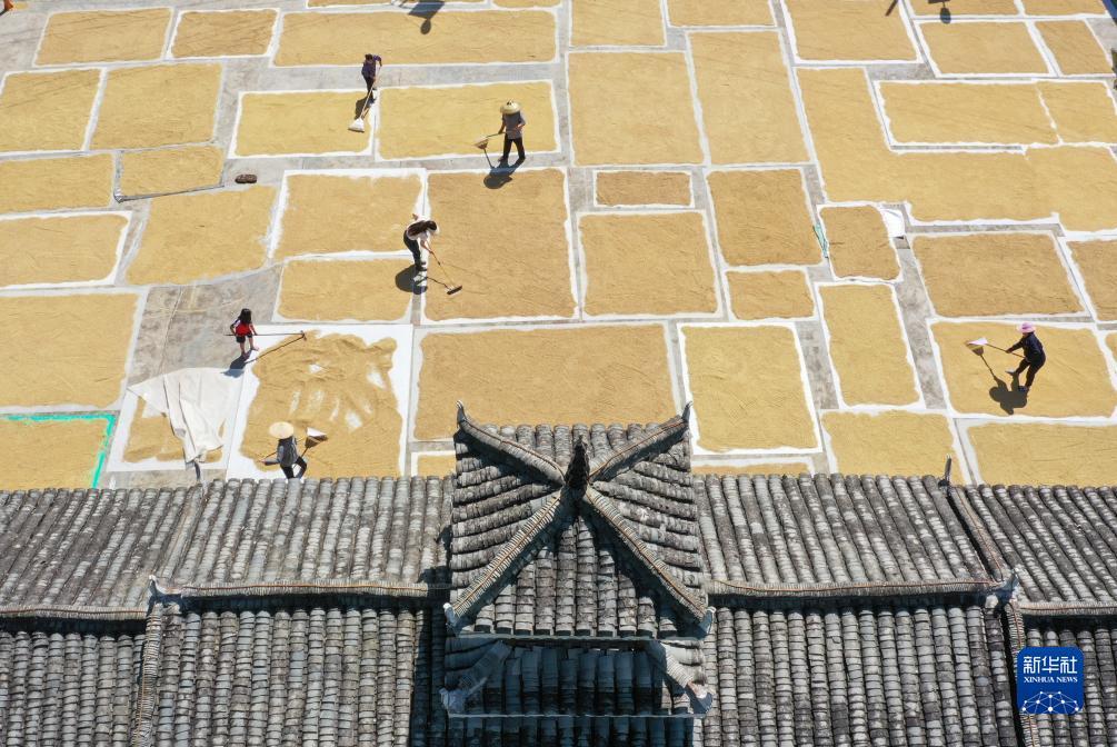 龙卷本子ag